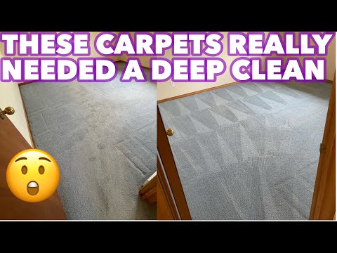 Checkout how clean these carpets came out