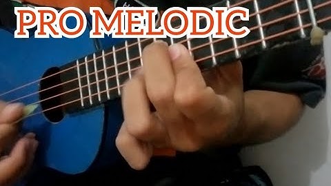 Pro Melodic - Ukulele Senar 4 | By RAF Minor
