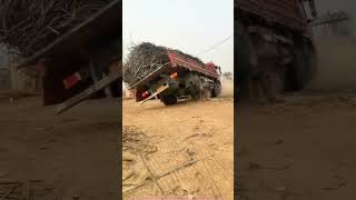 Pro Driver's Genius Unloading Move! No Manual Work Needed