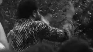 Lula guerreiro do povo brasileiro