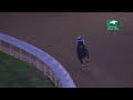Shisospicy works at Keeneland - October 23, 2025