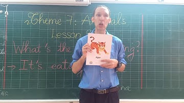 Review Theme 7 Animals Lesson 3 4 - Grade 2 - I learn smart start special edition