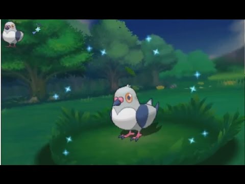 3ds ポケモン Oras Shiny Pidove 色違い マメパト 色違 豆豆鴿 Youtube