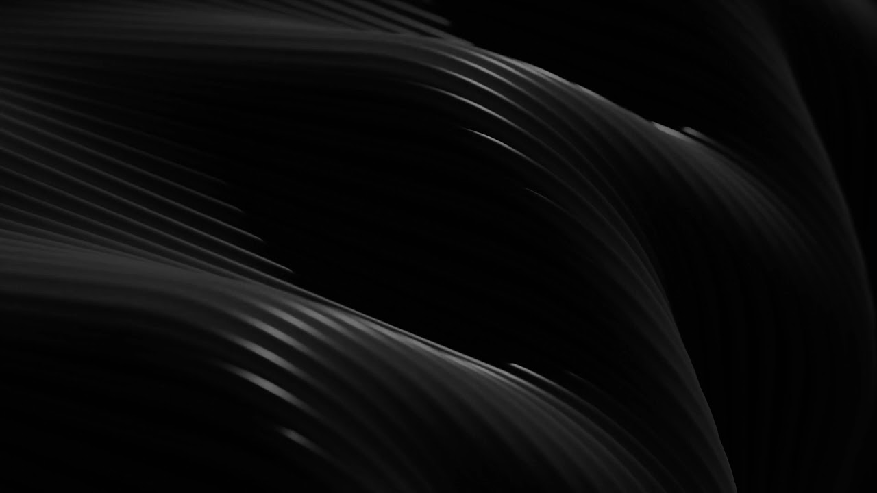 TIM LANGEDIJK TRIO - Paramour (Official Animated Video)