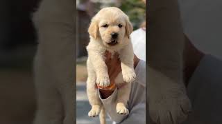 Are You On My Side????