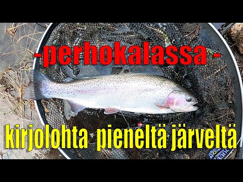 Video: 10 Kaunista Kuvaa Perhokalastuksesta Ympäri Maailmaa