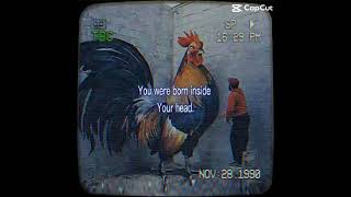 I Just Have To Calm Down Resimi