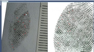 Search AFIS and Comparison using traditional method on Forensic Comparison Software