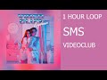 1 HOUR LOOP - SMS - VIDEOCLUB