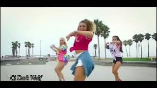 Masterboy - Everybody Needs Somebody  Remix ( Cj Dark Wolf video)