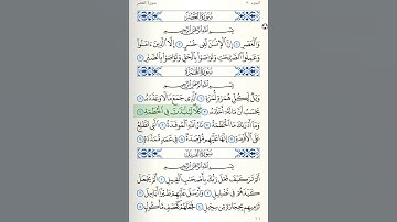 صوت جميل وهادئ سورة الهمزة الشيخ وديع اليمني Surat Alhumzah
