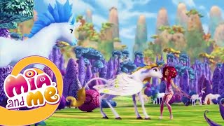 Mia Ve Menin 2. Sezon Bölüm 23 & 1. Sezon Bölüm 23 - Mia Ve Ben - Mia And Me