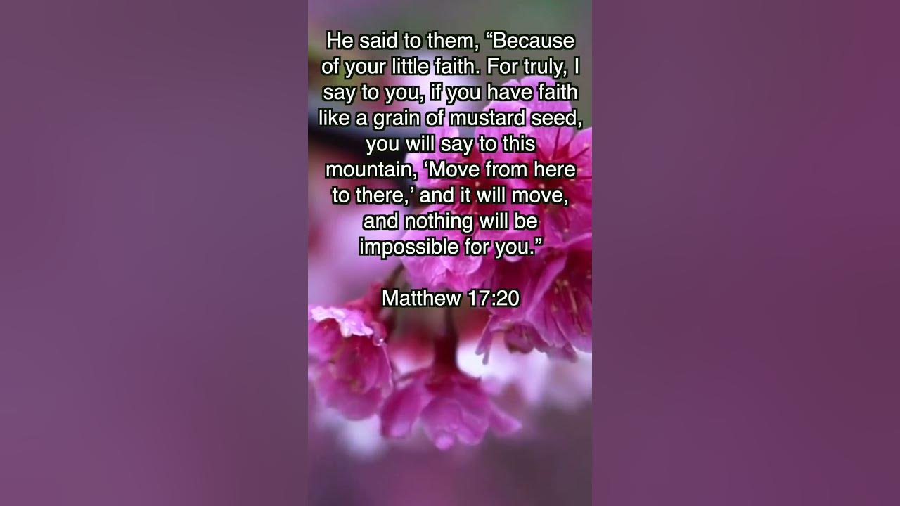 matthew-17-20-youtube