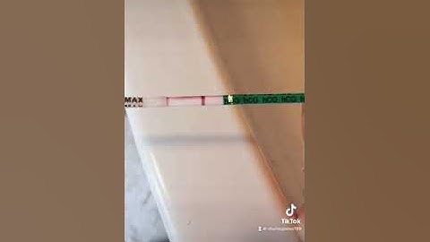 First vue pregnancy test 2021