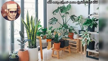 الشيخ محمد عمران مقطع خاشع من سورة  فاطر