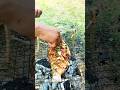 🔥 Spicy Grilled Fish in Nature 🌶️
