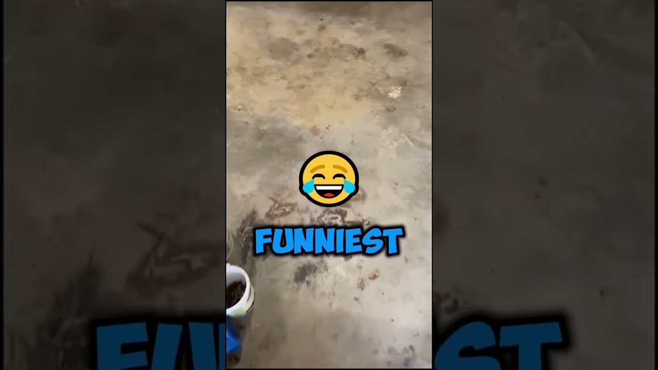 Her Chicken Can Lay Eggs On COMMAND! 🤣 