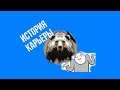 История карьеры - marko egoroff