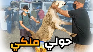 وأخيرا بعد 3 أيام مع الواليد فالسوق 😃 شرينا حولي العيد ملكي 👑