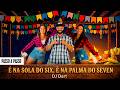 Vídeo Aula - É na Sola do Six, É Na Palma do Seven - DJ Dart - Dan-Sa / Daniel Saboya (Coreografia)
