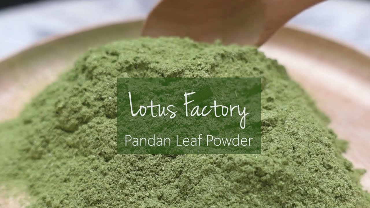 Organic Pandan Leaf Powder from Lotus Factory