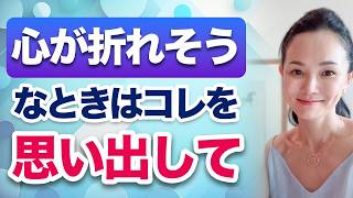 引き寄せ難民を卒業して現実的に豊かになれるセミナー DVD 引き寄せ難民を卒業して現実的に豊かになれるセミナー DVD 定価1
