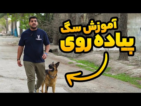 تصویری: نحوه مراقبت از نوزاد خرگوش وحشی (همراه با تصاویر)