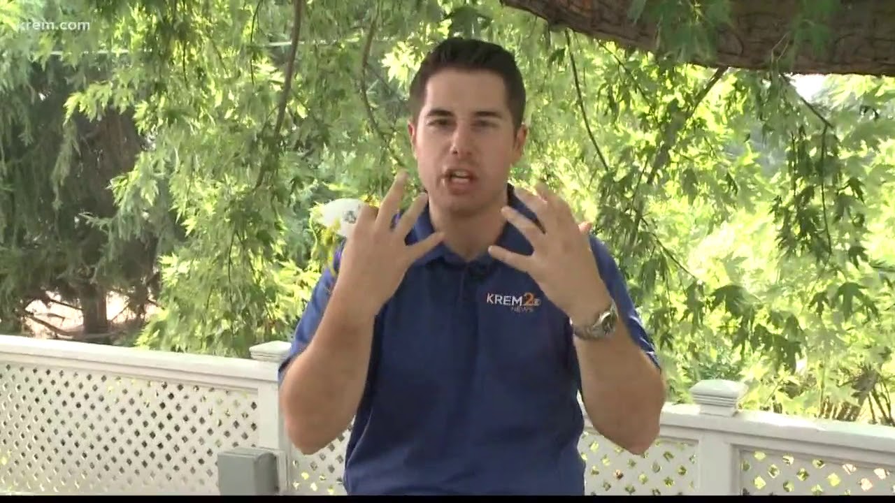 Best masks to protect yourself from wildfire smoke - YouTube