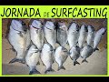 Resumo de uma jornada de surfcasting robalos sargos e dourada