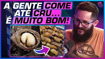 imagem do youtube