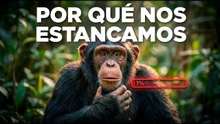 Niveles de pensamiento: La sociedad en modo supervivencia