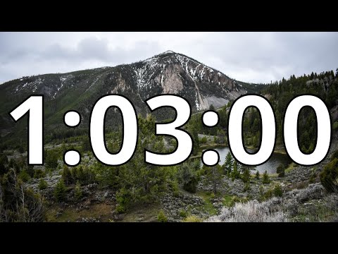 1 Hour 3 Minutes Countdown Timer With Alarm Sound At The End Simple Beep