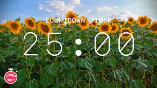 25 Minute 🌻 Summer Fun Countdown Timer! screenshot 4