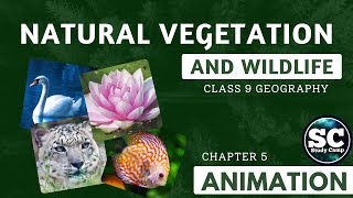 Natural Vegetation and Wildlife ( Animation ) | Class 9 Geography Chapter 5 | Study Camp