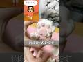 トモダチコレクション もりもり食生活【酒村いっも、】