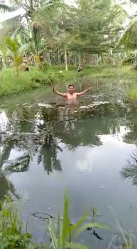Uji nyali,terjun sarang buaya,,,rawa dano