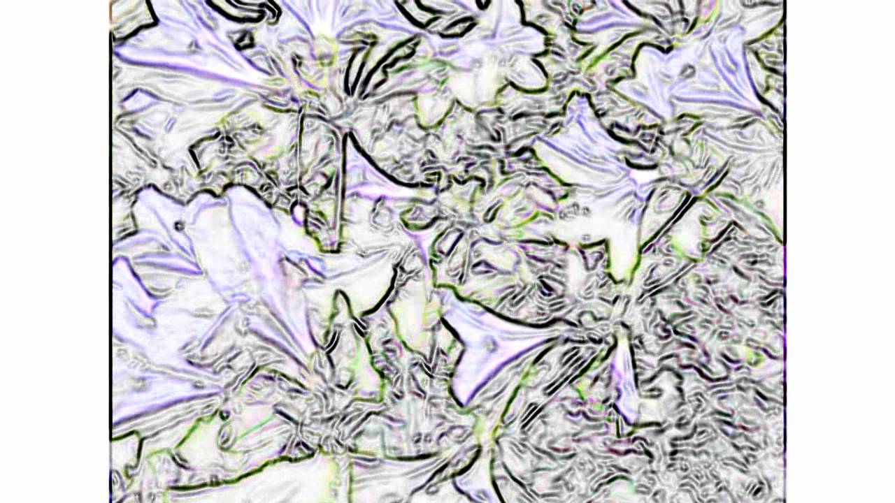 Burial & Four Tet - Moth [HD Video]