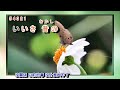ふたりぐらし 川中美幸