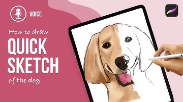 How To Draw A Dog │ Procreate Tutorial