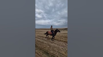 ATIN ÜZERİNDEKİ TÜRK DEĞİLSE YÜKTÜR 🇹🇷