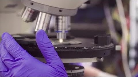 Microscope Stock Video