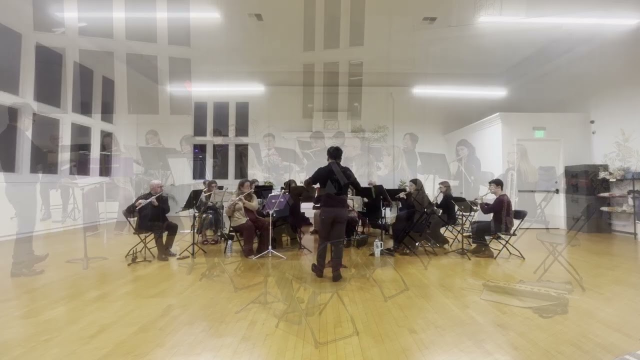 Samba Für Elise - performed by the Los Angeles Flute Choir