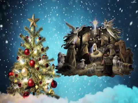 Grudnik czy kaktus wielkanocny? jak je rozróżnić i uprawiać Życzenia na Boże Narodzenie - YouTube