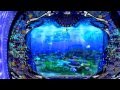 【パチ王伝新台】CR大海物語2 演出動画