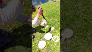 Cooking In The Mountains Grilled Meat In Chicken Cooked Outdoor Cook survival nature mountains
