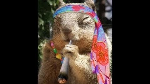 Windows keystone.js project set up