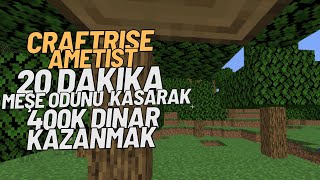 Meşe Odunu Kırarak 20 Dakikada 400K Dinar Kazanmak -ÇEKİLİŞ VAR- CRAFTRİSE AMETİST