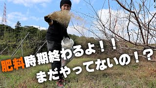 肥料の基礎と植物生理講座【まとめ】ｳﾒ,ﾓﾓ,ﾌﾞﾙｰﾍﾞﾘｰ,ﾐｶﾝ,ﾌﾞﾄﾞｳ,ｲﾁｼﾞｸ,ｷｳｲ,ｽﾓﾓ,ﾘﾝｺﾞ,ﾅｼ,,ｱﾝｽﾞ他