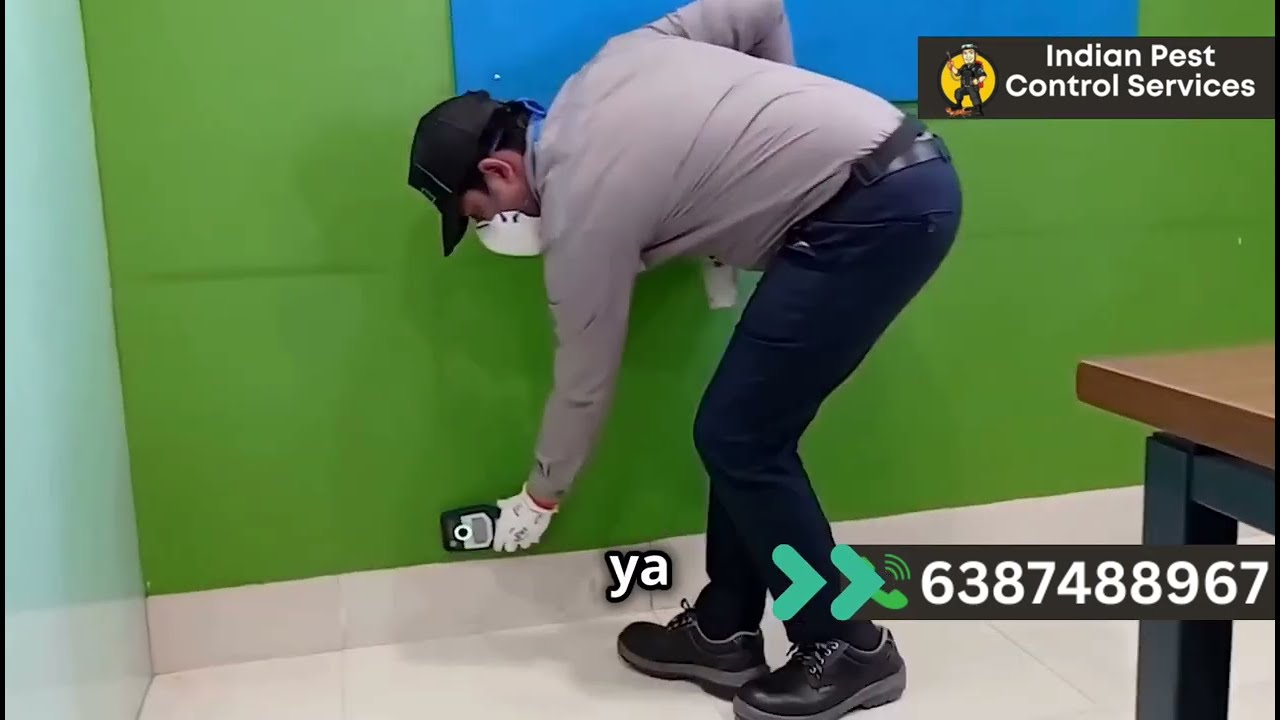 Top-Rated Termite Treatment in Mumbai | Best Pest Control Service 4 ur Home 