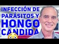 Infección De Parásitos Y Hongo Candida